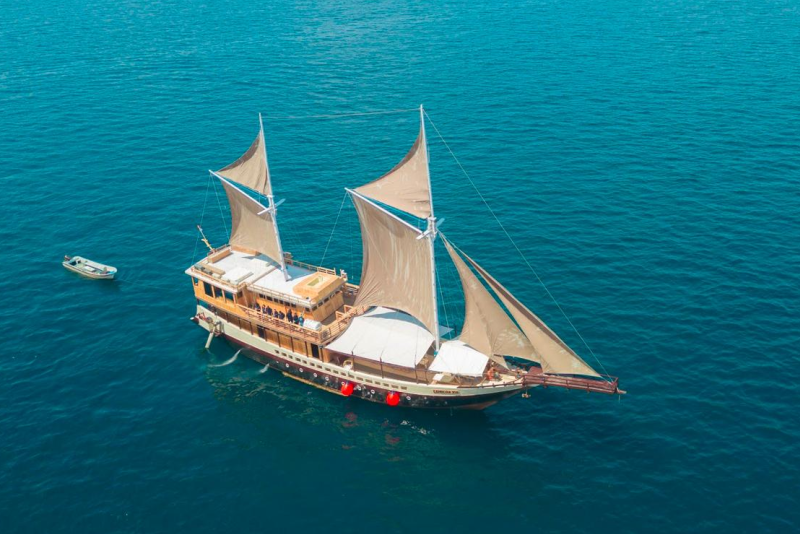 Lamborajo II - Boat